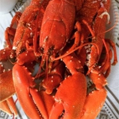 Le homard