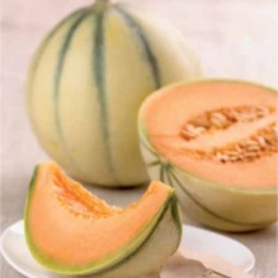 Melon du Quercy IGP