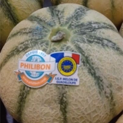 Le melon de Guadeloupe, IGP