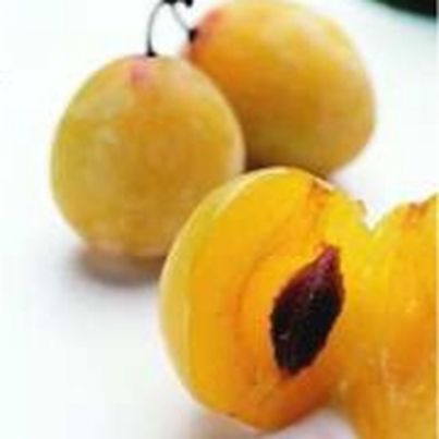 Mirabelles de Lorraine