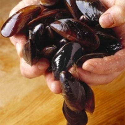 Les moules biologiques irlandaises