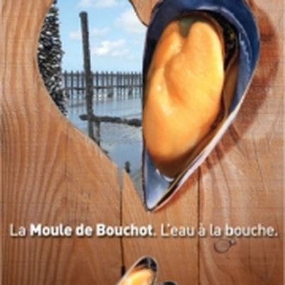 Les moules de bouchot