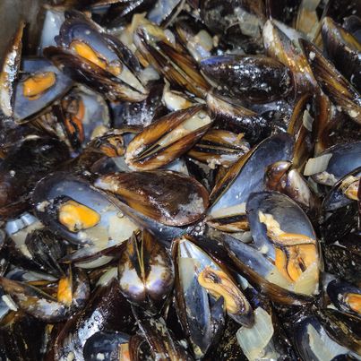 Idées de recettes avec des moules