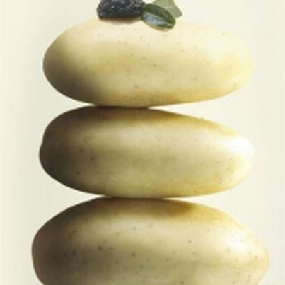 La Pomme de terre Primeur du Roussillon AOC
