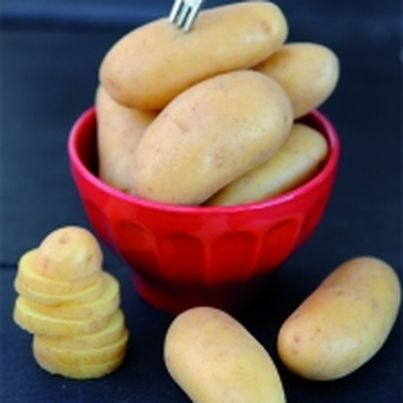 Pomme de terre Juliette