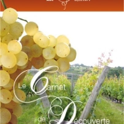 Raisin : Le Chasselas de Moissac AOC fête les 40 ans de son AOC en 2011