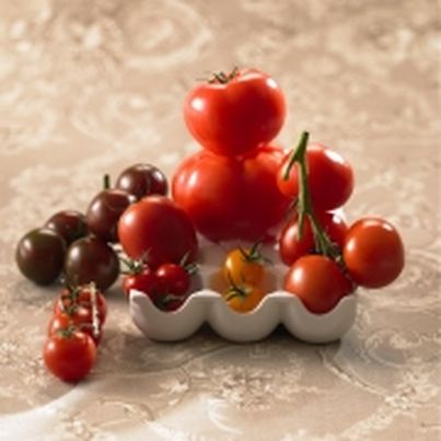 Dossier sur les tomates