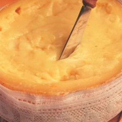 Les fromages d'Espagne : Torta de la Serena - AOP