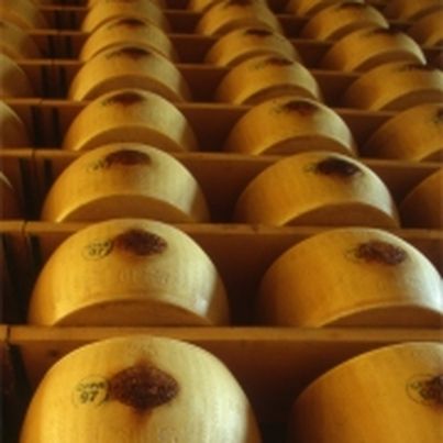 Le Parmigiano Reggiano AOC