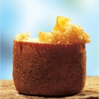Les Fromages de Suisse : La Tête de Moine