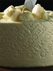 Fromage Pecorino Romano Photo : DR