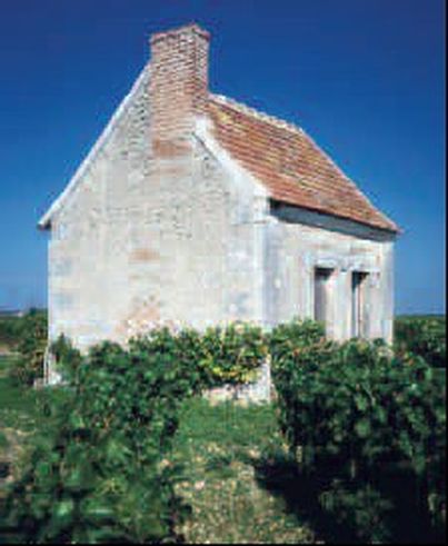 Vignes, Vins et Randos en Val de Loire : Samedi 1er et dimanche 2 septembre 2007