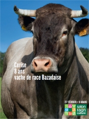 Cerise, la star du Salon de l'Agriculture 2016 Photo : © SIA 2016