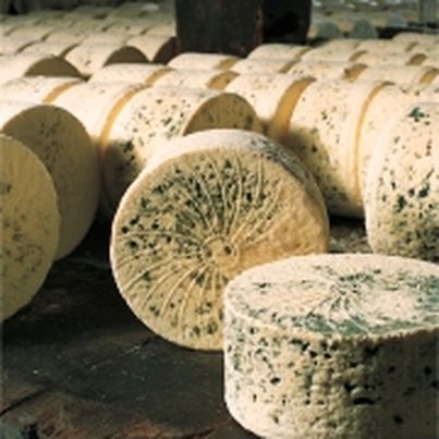 Le Bleu des Causses