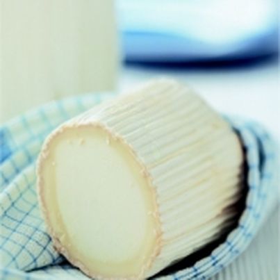 La Bûche de Chèvre