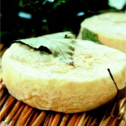 Le Mothais sur feuille
