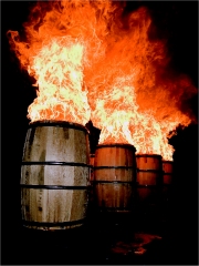Ardbeg lance Ardbeg Alligator Photo : © Ardbeg