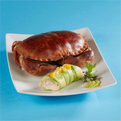Cannelloni de Tourteau, Avocat et Pamplemousse
