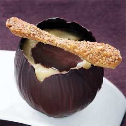 Coque Cot de Chocolat