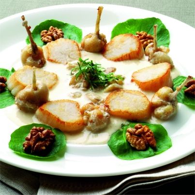 Blanquette de Saint-Jacques et Grenouilles au Vin Jaune et aux noix