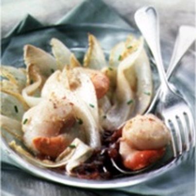 Effilochée d'endives et Saint-Jacques à la Sauce Vineuse