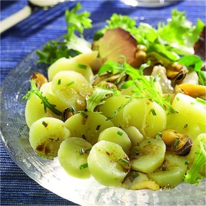 Fraîcheur de primeurs de l'île de Ré en fin mesclun à l'huile de noisette