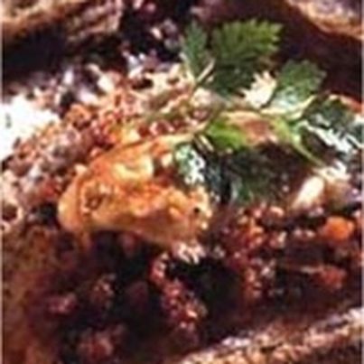 Huîtres à la Provencale