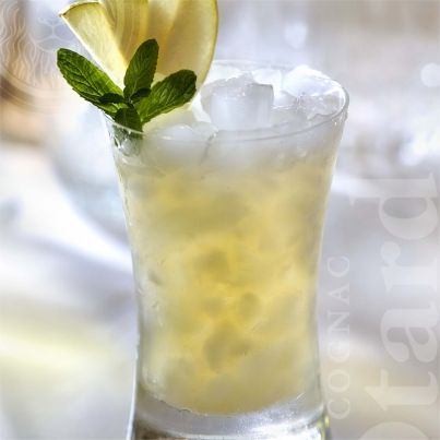 Cocktail Noblesse