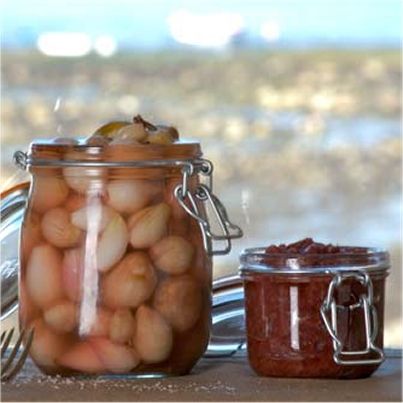 Petits oignons de Roscoff « Piglen » au vinaigre