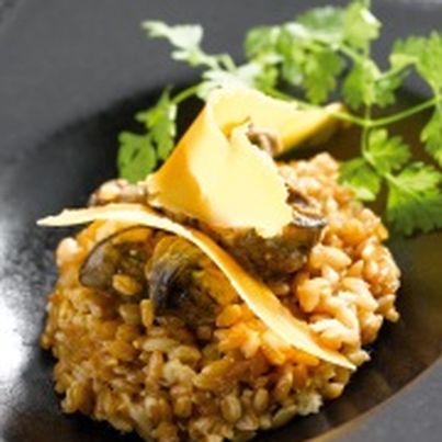 Petit épeautre et escargots petits gris à la mimolette extra-vieille