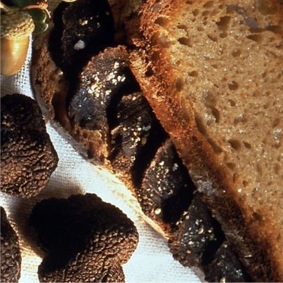 Sandwich tiède à la truffe fraîche et beurre salé
