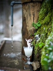 Fontaine avec un verre d'absinthe Photo : © OT Pontarlier / G. Perret