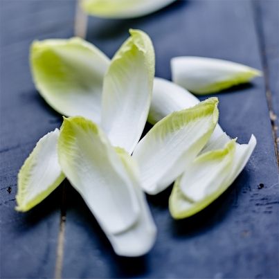 Les recettes d'endives