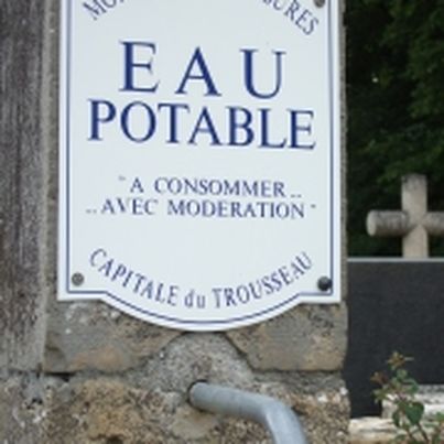 Vins du Jura Les cépages du Jura