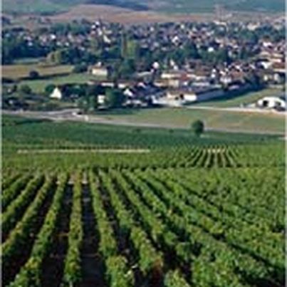 Vins de Bourgogne AOC Chablis