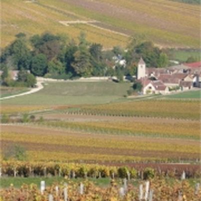 Vins de Bourgogne AOC Chablis Grand Cru