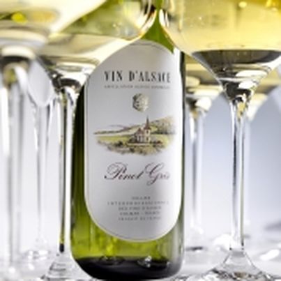 Vin de France > Alsace > Cépage > Pinot Gris