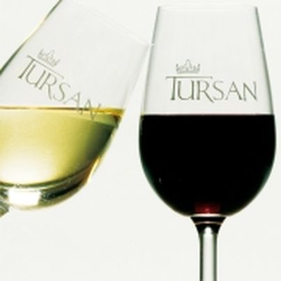 Vins du Tursan et de pays des Landes